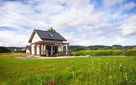 Domek Pod Brzózką